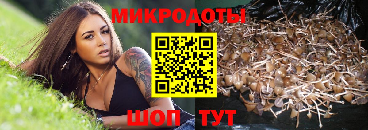 Щёлково  Галлюциногенные грибы ЛСД  Вход с VPN 